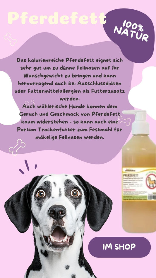 Pferdefett