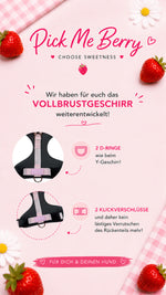 Pick me berry Vollbrustgeschirr 2.0
