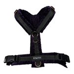 Cord Lila Brustgeschirr