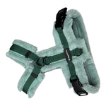 Frosted Mint Brustgeschirr deluxe