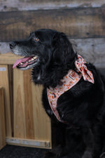 Autumn critters sailor bow
