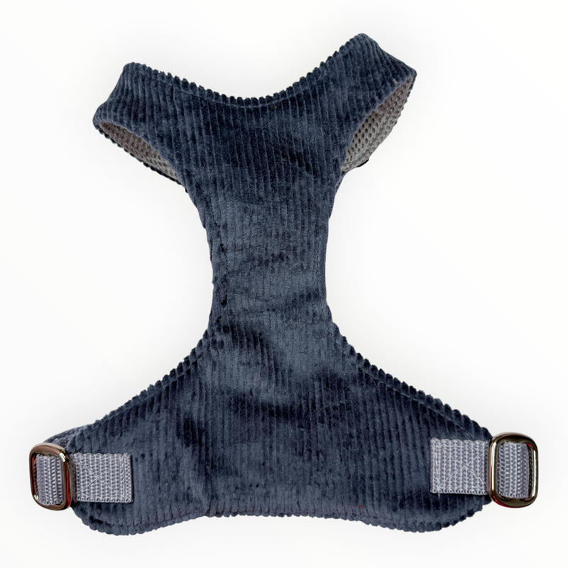 Cord Jeansblau Vollbrustgeschirr 2.0