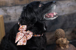 Autumn critters Halsband