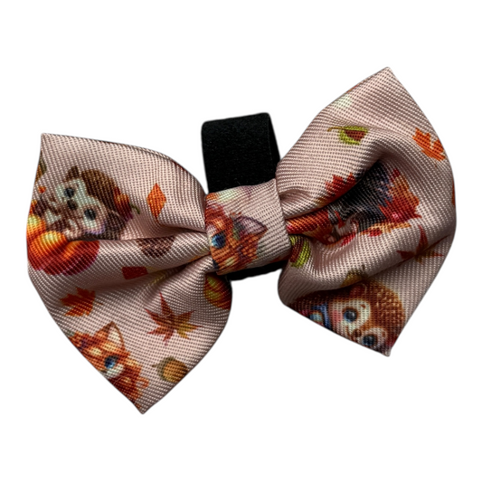 Autumn critters bow