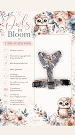 Owls in bloom Y-Brustgeschirr