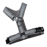 Cordgeschirr Hellgrau