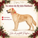 Messanleitung für Hundehalsbänder nach Maß von Doggies Couture: Golden Retriever mit roten Messlinien für Kopfumfang und oberen Halsumfang, umrahmt von weihnachtlichen Zweigen und bordeauxroten Schleifen.