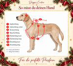 Messanleitung von Doggies Couture für Hundehalsband und Brustgeschirr nach Maß: Kopf-, Hals-, Brust- und Bauchumfang sowie kurze und lange Rücken- und Bruststege, am Hund markiert. Mit weihnachtlichem Rahmen.