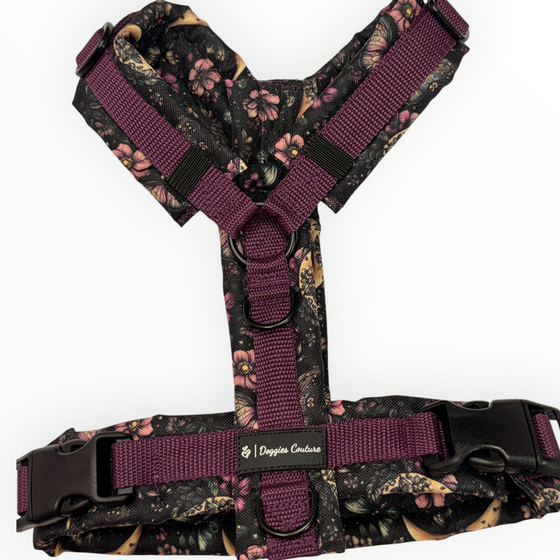 Papillon de Lune Y-Brustgeschirr