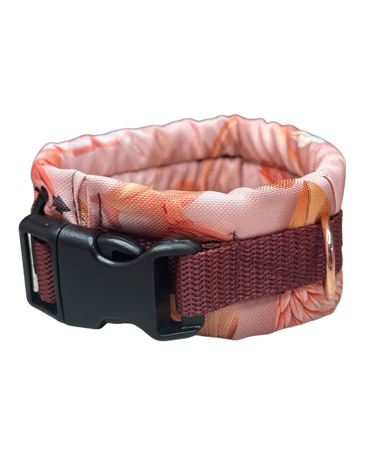 Apricot dream - doggiescouture.at