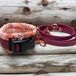 Apricot dream - doggiescouture.at