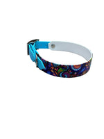 Baisley - doggiescouture.at