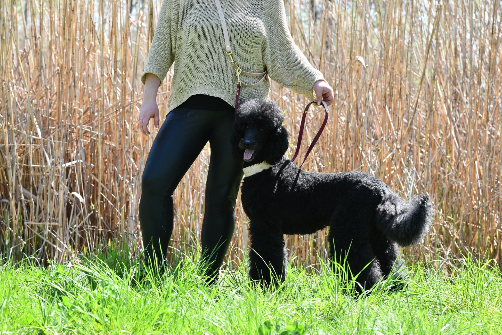 Biothane Lasergravur Halsband - doggiescouture.at