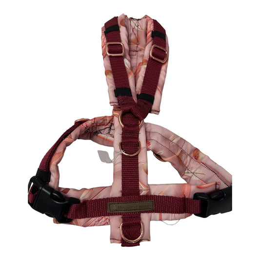 Brustgeschirr apricot dream - doggiescouture.at