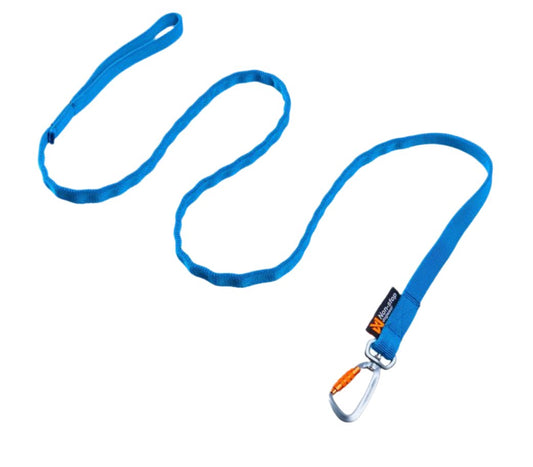 Bungee Leash - doggiescouture.at