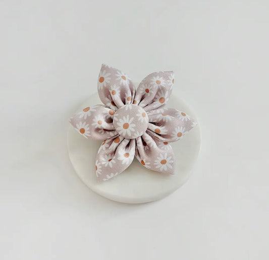 Cocopup Halsband - Brustgeschirr Blume Daisyflower - doggiescouture.at
