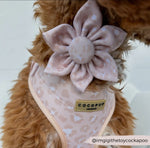 Cocopup Halsband und Brustgeschirrblume im Leo nude chic - doggiescouture.at