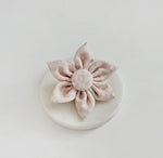 Cocopup Halsband und Brustgeschirrblume im Leo nude chic - doggiescouture.at