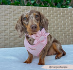 Cocopup Halsband und Brustgeschirrblume Luxe rose hearts - doggiescouture.at