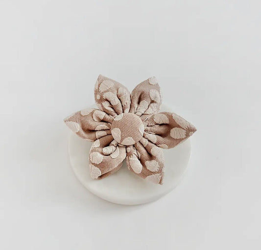 Cocopup Halsband und Brustgeschirrblume Mokka Blume - doggiescouture.at