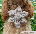 Cocopup Halsband und Brustgeschirrblume Mokka Blume - doggiescouture.at