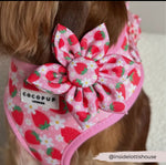 Cocopup Halsband und Brustgeschirrblume Pupberry - doggiescouture.at