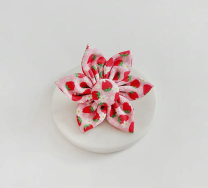 Cocopup Halsband und Brustgeschirrblume Pupberry - doggiescouture.at