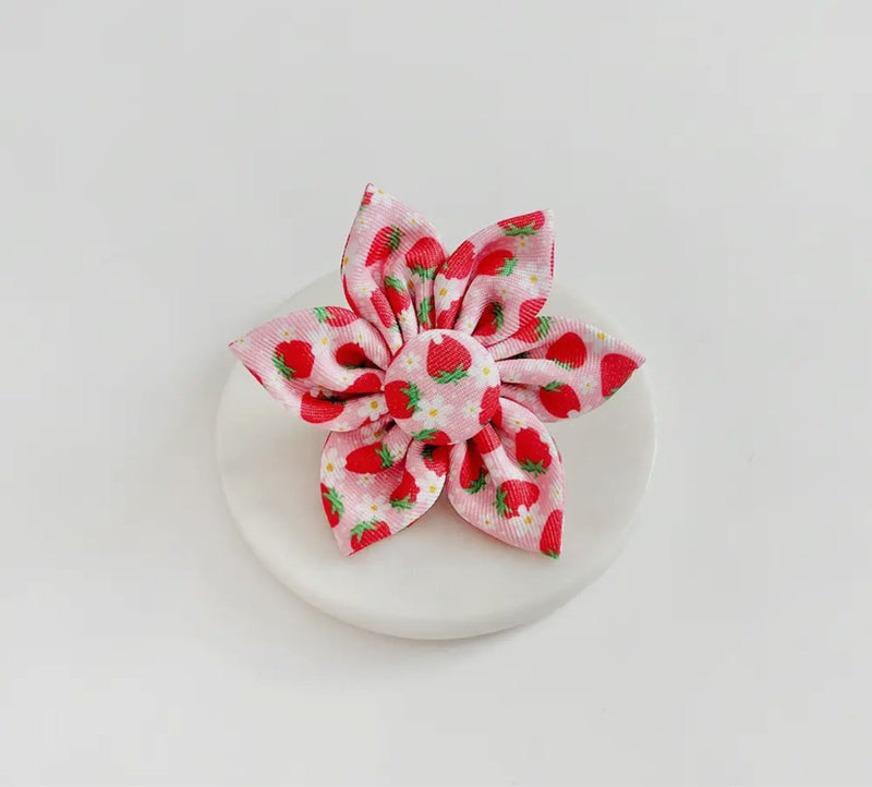 Cocopup Halsband und Brustgeschirrblume Pupberry