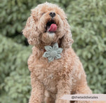 Cocopup Halsband und Brustgeschirrblume Tweed salbei - doggiescouture.at