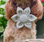 Cocopup Halsband und Geschirrblume brown Tweed - doggiescouture.at