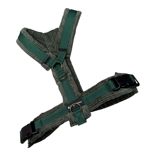 Dunkelgrünes Y-Brustgeschirr aus weichem Cord – handmade & hochwertig.