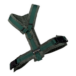 Dunkelgrünes Y-Brustgeschirr aus weichem Cord – handmade & hochwertig.