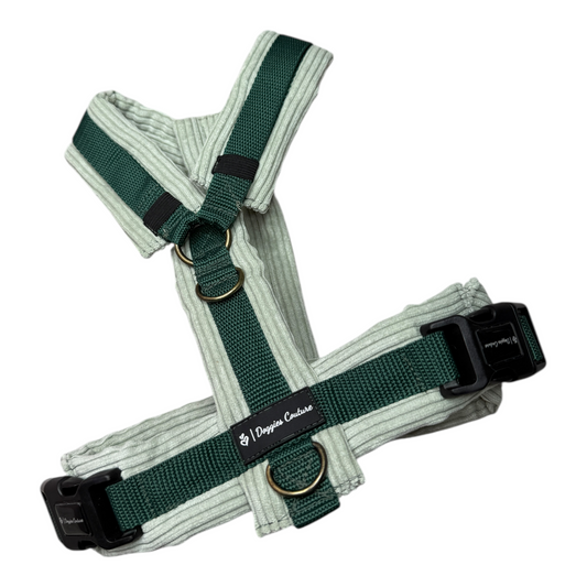 Y-Brustgeschirr aus Cord in Salbei-Grün – handmade & hochwertig, robust und bequem.