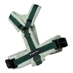 Y-Brustgeschirr aus Cord in Salbei-Grün – handmade & hochwertig, robust und bequem.