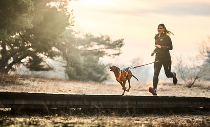 Freemotion Harness 5.0 - doggiescouture.at