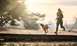 Freemotion Harness 5.0 - doggiescouture.at