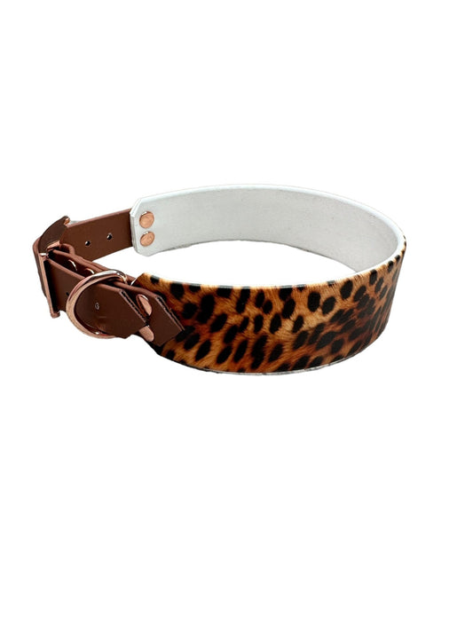 Gepard - doggiescouture.at
