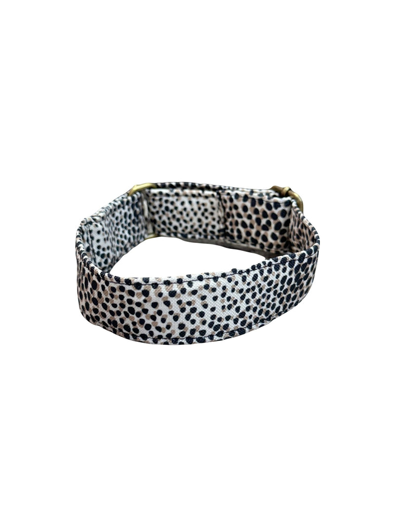 Collier rencontre Cheetah