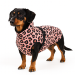 Schwarzer Hund trägt den Hundemantel Alt Rosa Leo – handgemachter, warm gefütterter Hundemantel mit Leo-Design.