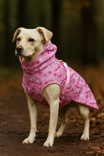 Beiger Hund trägt den pinken Hundemantel Barbie – handgemacht & hochwertig