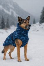 Mittelgroßer Hund im handgemachten Hundemantel „Blue Army“ steht im verschneiten Gebirge – warmer, wetterfester Mantel in Blau-Camouflage.