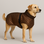 Mittelgroßer Hund trägt einen gesteppten, glänzenden Hundemantel in Braun/Kupfer mit hohem Kragen – handmade & hochwertig.