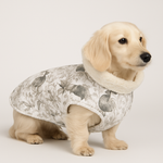 Kleiner cremefarbener Hund im handgemachten Hundemantel ‚Pfau‘ mit weichem, rundem Kragen; elegantes Pfauenmuster in Beige-Grautönen auf neutralem Studiohintergrund