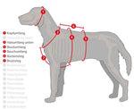 Konfigurator Brustgeschirr - doggiescouture.at