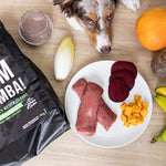 LammBa Zamba! - doggiescouture.at