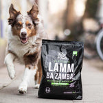 LammBa Zamba! - doggiescouture.at