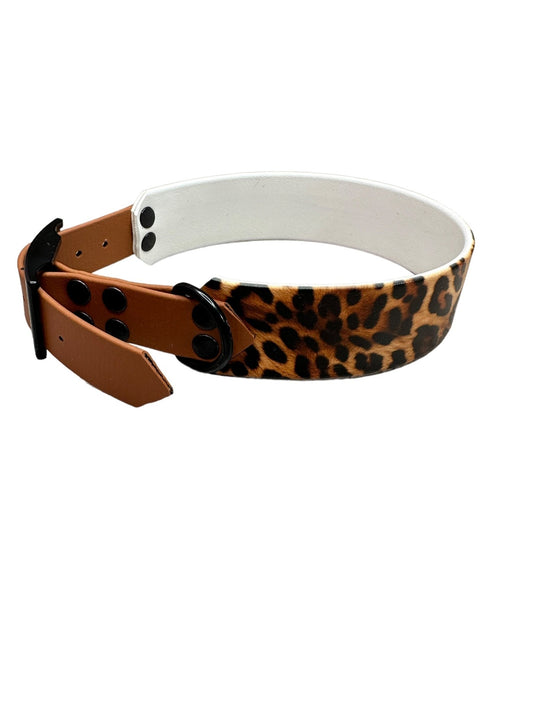 Leopard - doggiescouture.at