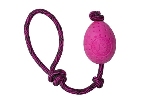Let's play! EGG - doggiescouture.at