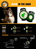 Let's play! Glow Ball - doggiescouture.at