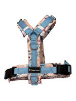 Handgefertigtes Y-Brustgeschirr „Lost in Stripes“ von Doggies Couture mit liebevollem Zebra-Design in Rosa, Creme, Blau und Grau. Das ergonomische Hundegeschirr bietet eine perfekte Passform, maximale Bewegungsfreiheit durch freie Schultern und keinen Druck auf den Hals. Weich gepolstert für hohen Tragekomfort, mit 2 D-Ringen für Schleppleine oder nahes Führen, verstellbar im Brust- und Bauchbereich sowie ausgestattet mit 2 frostsicheren Klickverschlüssen. Erhältlich in den Größen XXS–XL, auch maßgeschneide
